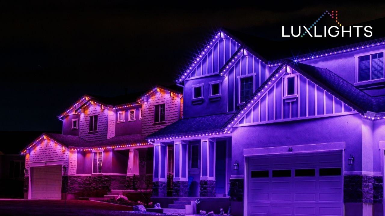 shades of purple permanent Christmas lights